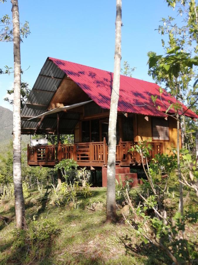Villa Nagtabon Puerto Princesa Екстер'єр фото