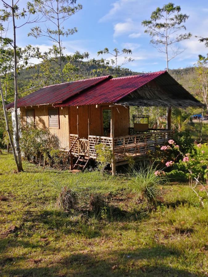 Villa Nagtabon Puerto Princesa Екстер'єр фото